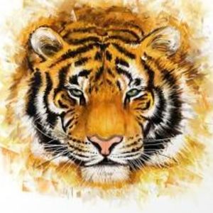 Meet your Posher, Wava